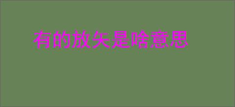 有的放矢是啥意思