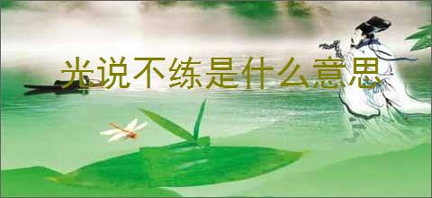 光说不练是什么意思