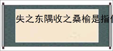失之东隅收之桑榆是指什么意思