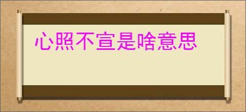 心照不宣是啥意思